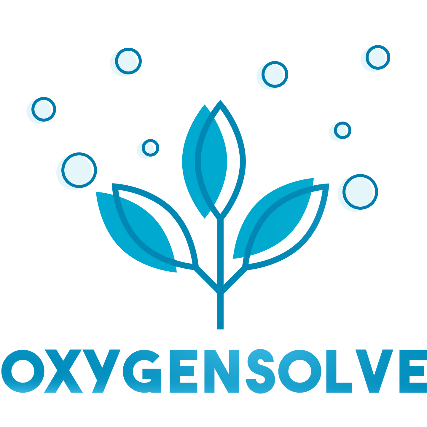 oxgensolve oxygen concentrator