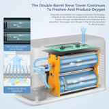 VARON 3L Continuous Flow Portable Oxygen Concentrator NT-05